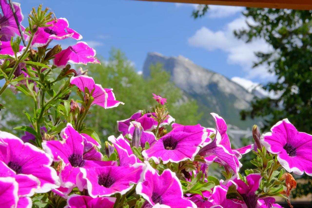 Riverfront Estate Bed&Breakfast Banff Exterior photo